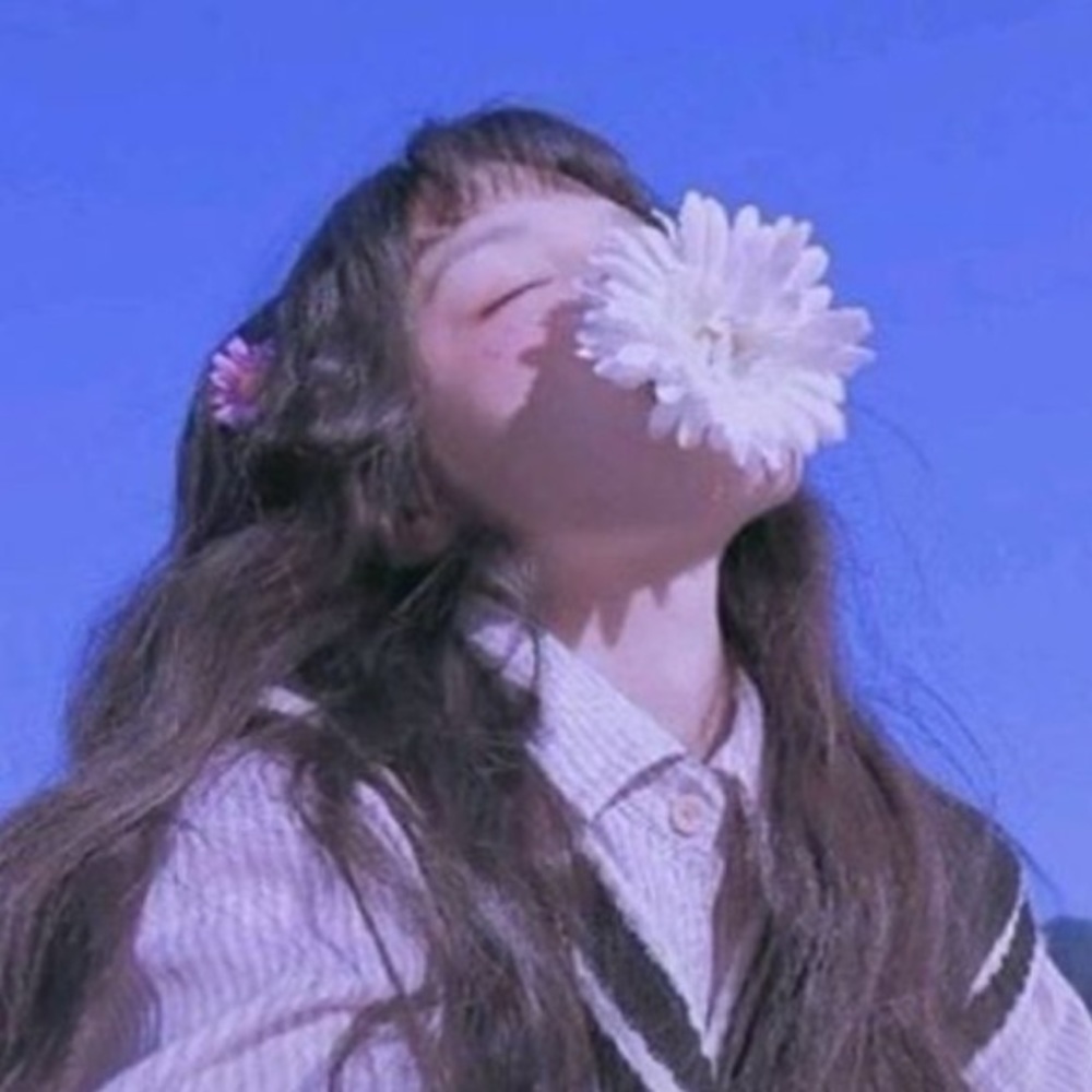 Meet your Posher, Dassi